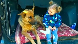 VLOG Староконный рынок в Одессе/ смотрим животных