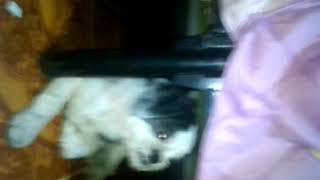 (????????????kzlxmx!m!smsmdm!xmx!mx!xmx!mc
