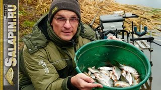 Ловля плотвы поздней осенью (поплавок) [salapinru]