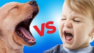 Ultimate Puppy vs. Baby Showdown