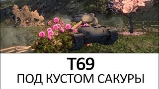 T69 Под кустом сакуры. Как играть, VOD