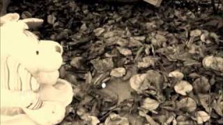 ✖Walking On Air✖ Webkinz Music Video