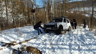 Lada 4x4, Toyota Surf и Subaru Forester. Лесные покатушки. Offroad...
