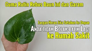 ANDA YANG PERTAMA TAHU INI, REBUS DAUN INI BERSAMA GARAM, EFEKNYA MENCENGANGKAN