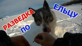 Разведка по ельцу. И ловля ГОРБАЧЕЙ )))Рыбалка март 2018