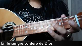Has hallado en Cristo - 1° voz Mandolina