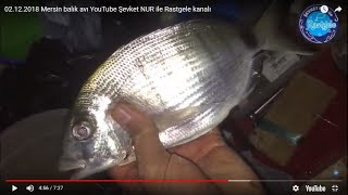 02.12.2018 Mersin balık avı YouTube Şevket NUR ile Rastgele kanalı
