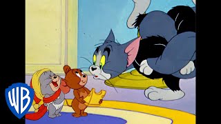 Tom y Jerry en Español | Agradable y calentito