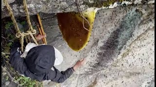 Amazing !!! Perjuangan Menegangkan Pemburu Madu Di Nepal