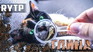 ВЫ НЕ ПОВЕРИТЕ! ГЛИНА С ALIEXPRESS [RYTP]
