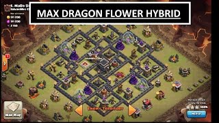 Shattered GoHo. MAX TH9 "Dragon Flower" hybrid. 3 STAR fail and clean