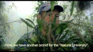 Reserva Ecologica Bombolí
