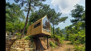 Красивая Польша  Как люди живут в лесу! Poland  How people live in the forest!