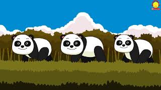 เพลงแพนด้า Panda song | เพลงเด็กน้อย indysong kids