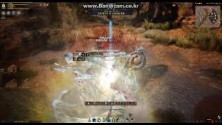 BlackDesert BDO 59 Ranger Basilisk Grinding PVE