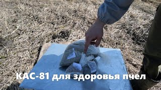 КАС-81 для здоровья пчел (ВИДЕО)