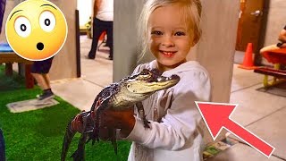 ALLIGATOR PETTING ZOO AT SCHOOL! ?