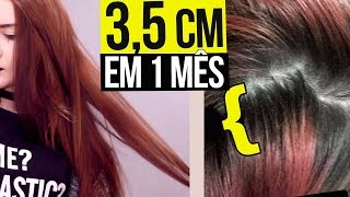 Como meu cabelo CRESCEU 3,5CM em 1 MÊS?
