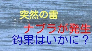 青森 突然の雷でナブラ発生　大物なるか