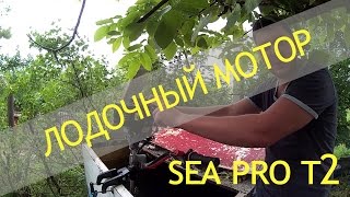 SEA PRO T2s бюджетный лодочный мотор. boat engine. tachometer.