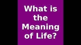 The Meaning Of Life- TheRealSoni