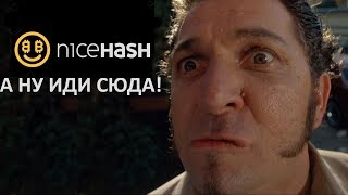 NiceHashe, А НУ ИДИ СЮДА! Гарантия выплат от Kriptex или протестируем Compytta!?