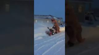 Trex operating a snowblower