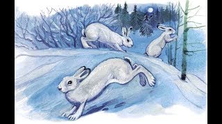 Охота в заячем городе