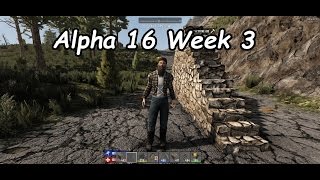 Alpha 16 jails, mountain men, bear and electricity updates