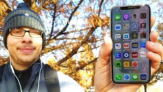 What's on my iPhone X November 2017?