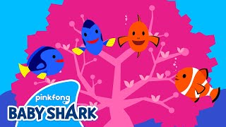 Coral Reefs | Sea Animals Songs | Baby Shark and Sea Animals 