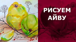 ? Как нарисовать айву маслом. Натюрморт фрукты