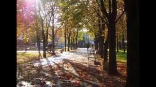 Mykolayiv/ Nikolaev - my home City in Ukraine / Lara Bezglasna