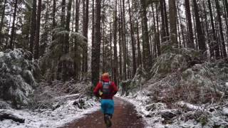 Pacific Spirit Park.     Mov M5 and Sony A7s with Zeiss Batis 24mm
