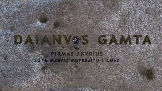 DAINAVOS GAMTA 2016 Ziemos Kursu Filmas