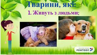 Дикі та свійські тварини. 2 клас