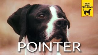 IL POINTER trailer documentario
