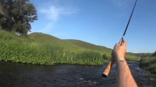 Ловля на тенкару. Губерля 2015