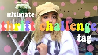 ULTIMATE THRIFT STORE CHALLENGE TAG ☆