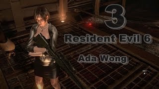Resident Evil 6 Ada Wong- Фамильный герб Симмонса. №3 (Перезалито)