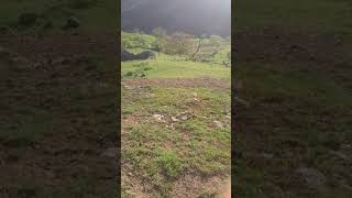 Zeylik