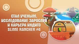 ?‍⚕️Я ТЕПЕРЬ УЧЕНЫЙ!?‍⚕️ I ?ИССЛЕДОВАНИЕ ЗАРОСЛИ И КАРЬЕРА ИНДИГО? I #️⃣4 I ?SLIME RANCHER?