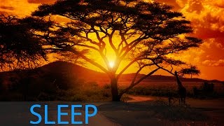 8 Hour Delta Waves Sleep Music: Relaxing Music, Calming Music, Soothing Music, Soft Music ☯346