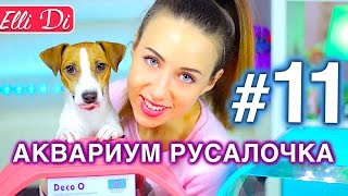 АКВАРИУМ РУСАЛОЧКА ДИСНЕЙ DISNEY конкурс | Elli Di Pets