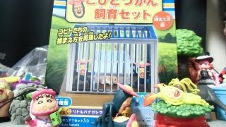 【KOBITODUKAN】 こびとづかん飼育セット 捕まえ方編 FINAL 「リトルハナガシラ降臨の巻！！」