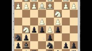 Positional masterpiece in Modern Defence: Schaufelberger vs Ljubojevic