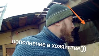 Пополнения продолжаются! Играю с детьми в marvel манию!)