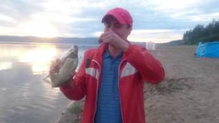 Ловля леща на Красноярском море!!!  Анашенский Сосновый Бор . 3 июля 2016    рыбалка