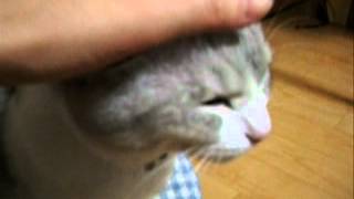 甘えたい気分