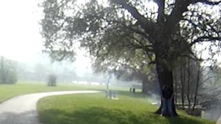 Woman hides behind tree for a quick wee